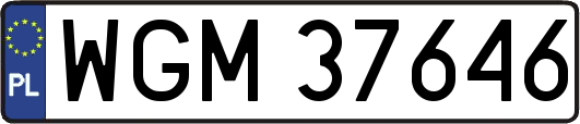 WGM37646