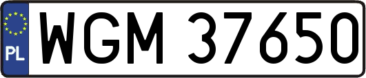 WGM37650