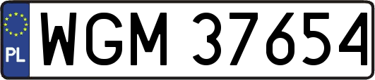 WGM37654