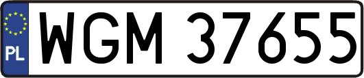 WGM37655