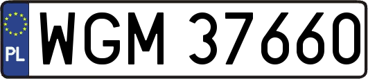 WGM37660