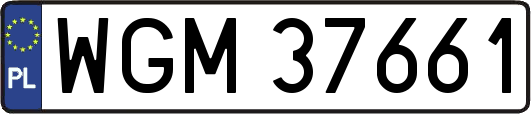 WGM37661