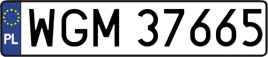 WGM37665