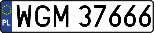 WGM37666