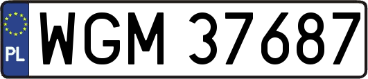 WGM37687