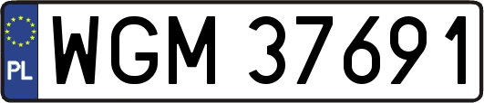 WGM37691