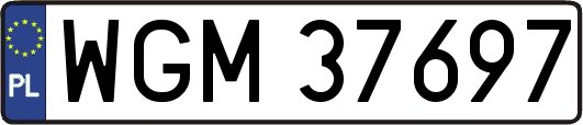 WGM37697