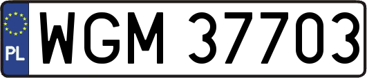 WGM37703