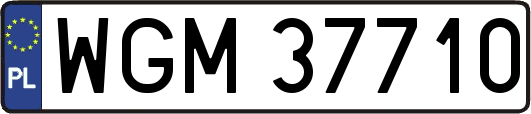 WGM37710