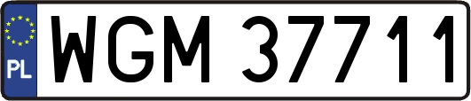 WGM37711