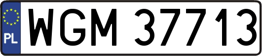 WGM37713