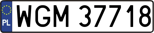 WGM37718