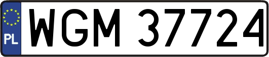 WGM37724