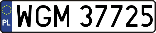 WGM37725