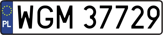 WGM37729