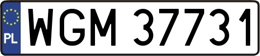 WGM37731