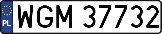 WGM37732