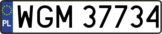 WGM37734