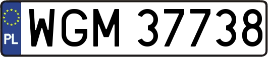 WGM37738