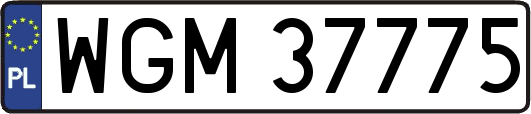 WGM37775