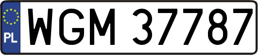 WGM37787