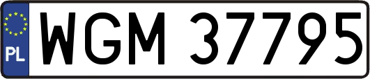 WGM37795
