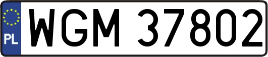 WGM37802