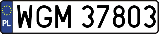 WGM37803