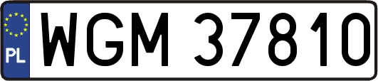 WGM37810