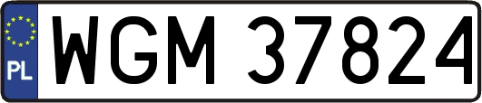WGM37824