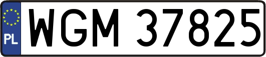 WGM37825