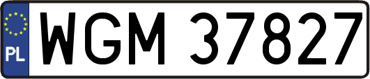 WGM37827