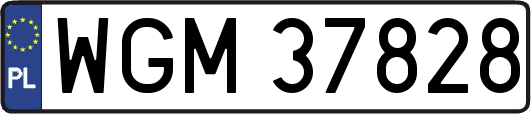 WGM37828