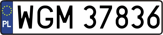 WGM37836