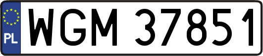 WGM37851