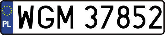 WGM37852