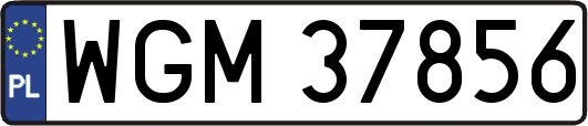 WGM37856