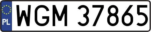 WGM37865