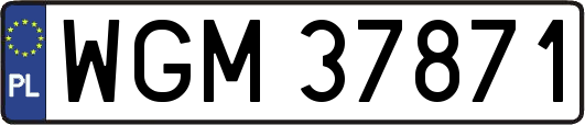 WGM37871