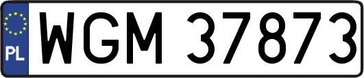 WGM37873