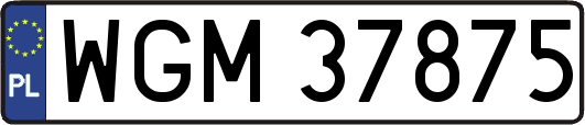 WGM37875