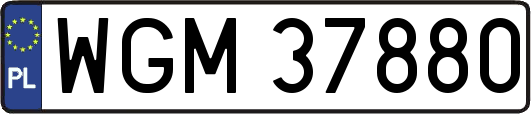 WGM37880