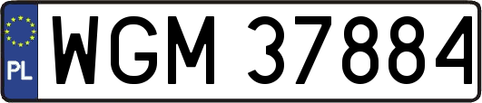 WGM37884
