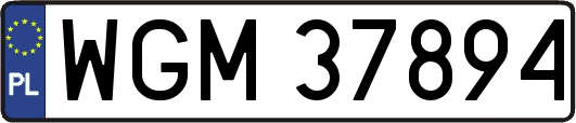 WGM37894