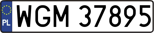 WGM37895
