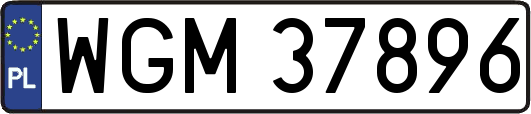 WGM37896
