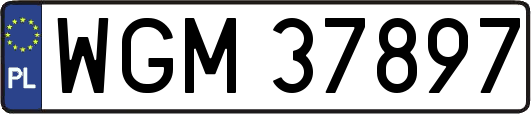 WGM37897