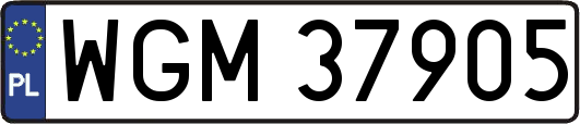 WGM37905