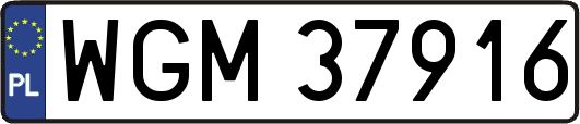 WGM37916