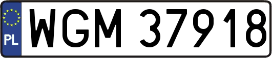 WGM37918